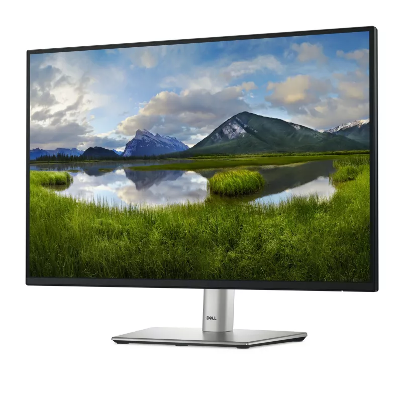 Monitor komputerowy DELL Pro Plus P2425E 61,1 cm (24,1 cala) 1920 x 1200 pikseli WUXGA LCD Czarny