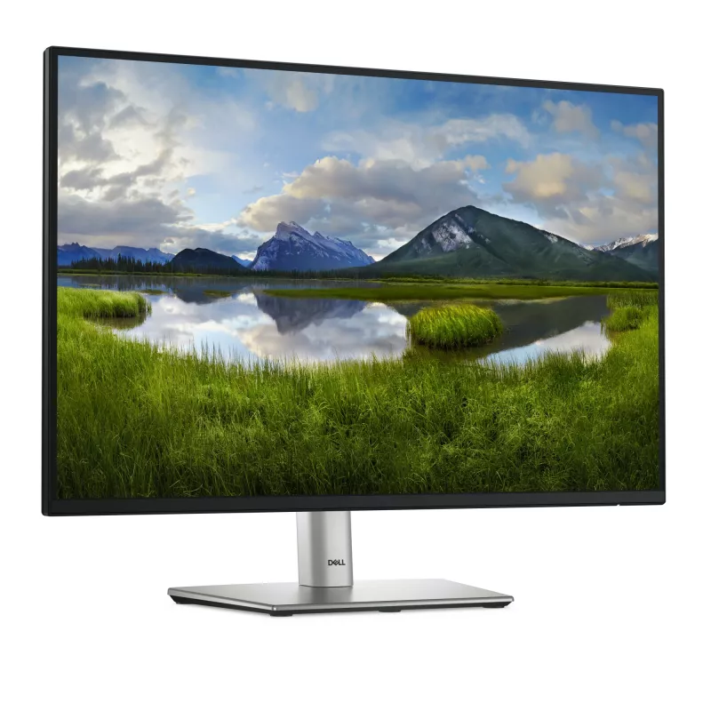 Monitor komputerowy DELL Pro Plus P2425E 61,1 cm (24,1 cala) 1920 x 1200 pikseli WUXGA LCD Czarny