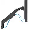 Uchwyt biurkowy Neomounts DS70-250BL2 do monitorów 17-32 cali, 9 kg, zacisk/przelot