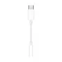 APPLE USB-c To 3.5mm Headphone Adapter