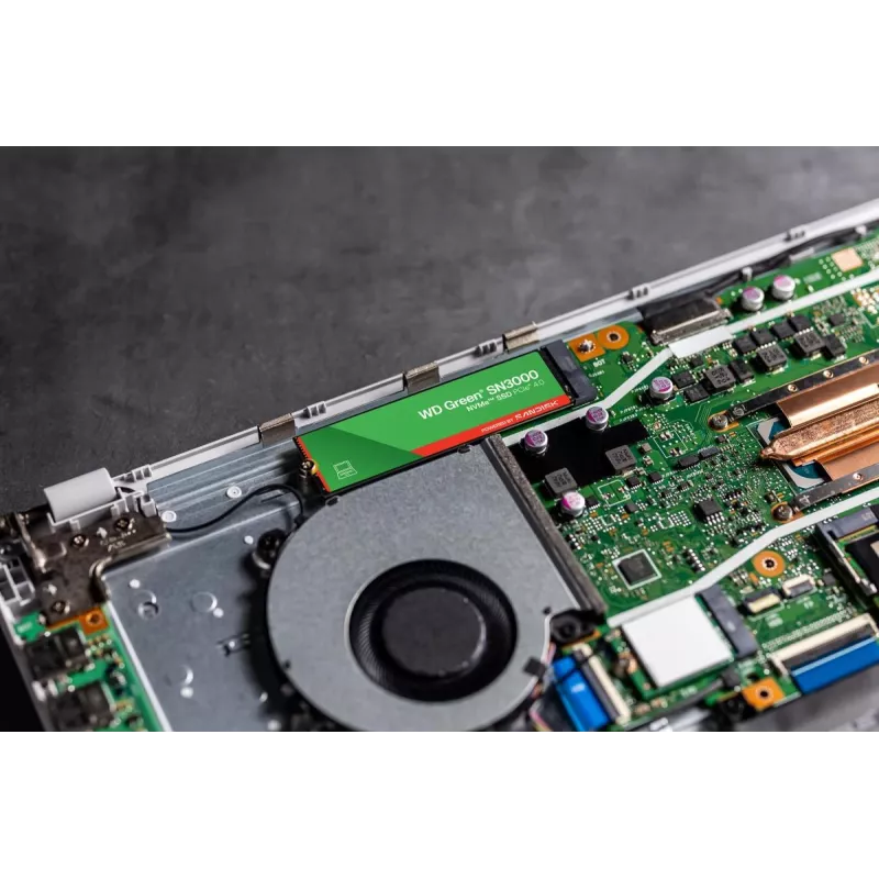 WESTERN DIGITAL SSD - WD zielony SN3000 NVMe - 500GB - Pci-e Gen4 x4 - M.2 2280