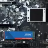 WESTERN DIGITAL SSD - WD niebieski SA510 - 500GB - SATA 6Gb/s - M.2 2280