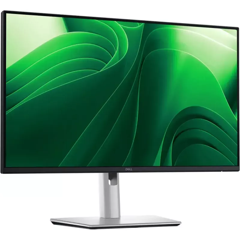 Monitor komputerowy DELL Pro Plus P2425DE 61 cm (24 cale) 2560 x 1440 pikseli Quad HD LCD Czarny