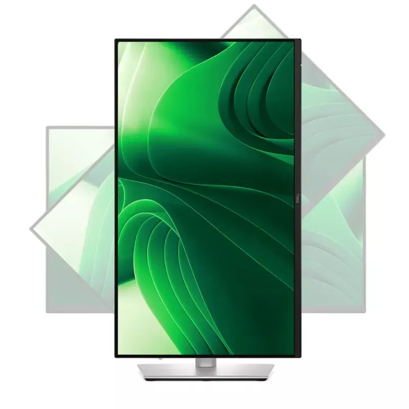 Monitor komputerowy DELL Pro Plus P2425DE 61 cm (24 cale) 2560 x 1440 pikseli Quad HD LCD Czarny