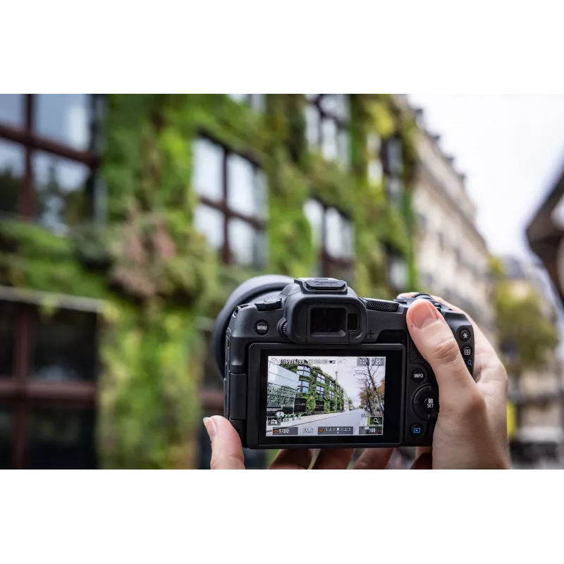 Canon EOS R8, 24.2 MP, 6000 x 4000 pikseli, CMOS, 4K Ultra HD, Ekran dotykowy, Czarny