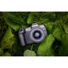 Canon EOS R8, 24.2 MP, 6000 x 4000 pikseli, CMOS, 4K Ultra HD, Ekran dotykowy, Czarny
