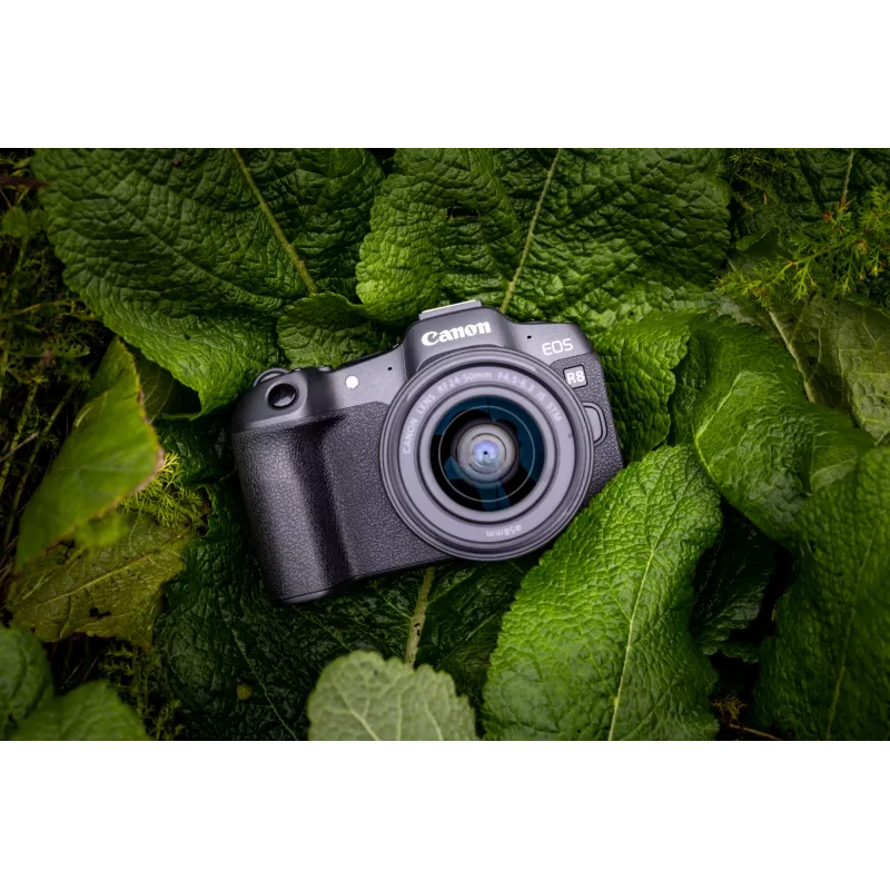 Canon EOS R8, 24.2 MP, 6000 x 4000 pikseli, CMOS, 4K Ultra HD, Ekran dotykowy, Czarny
