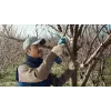 Bosch Pro Pruner Professional bezprzewodowe nożyce do trawy 2,5 cm 12 V litowo-jonowe (Li-Ion) niebieskie