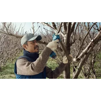 Bosch Pro Pruner Professional bezprzewodowe nożyce do trawy 2,5 cm 12 V litowo-jonowe (Li-Ion) niebieskie