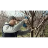 Bosch Pro Pruner Professional bezprzewodowe nożyce do trawy 2,5 cm 12 V litowo-jonowe (Li-Ion) niebieskie