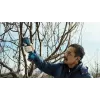 Bosch Pro Pruner Professional bezprzewodowe nożyce do trawy 2,5 cm 12 V litowo-jonowe (Li-Ion) niebieskie