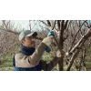 Bosch Pro Pruner Professional bezprzewodowe nożyce do trawy 2,5 cm 12 V litowo-jonowe (Li-Ion) niebieskie