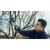 Bosch Pro Pruner Professional bezprzewodowe nożyce do trawy 2,5 cm 12 V litowo-jonowe (Li-Ion) niebieskie