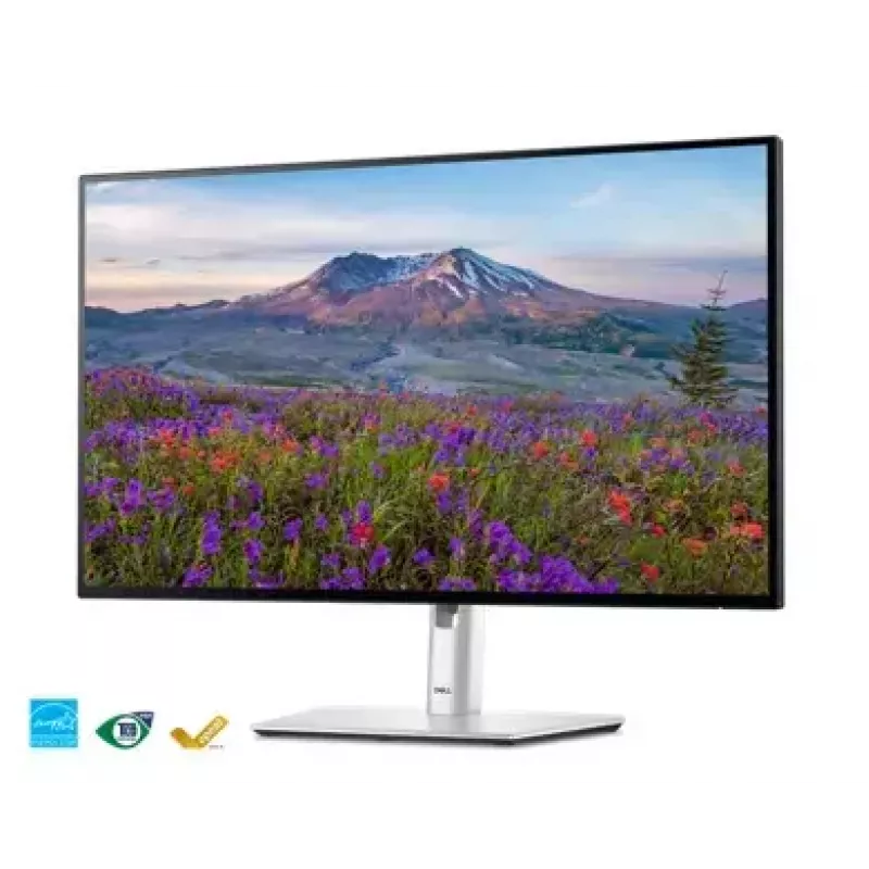 Monitor komputerowy DELL UltraSharp U2424HE 60,5 cm (23,8 cala) 1920 x 1080 pikseli Full HD LCD Czarny, Srebrny