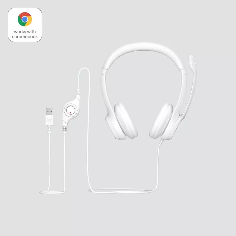 LOGITECH Zestaw słuchawkowy - H390 - USB-A - Biało-kremowy