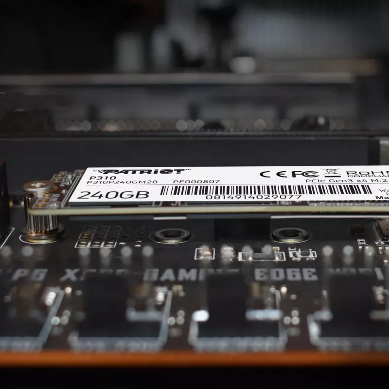 PATRIOT MEMORY SSD - 240GB - P310 (PCI-E 3.0 x4, NVMe 1.3, M.2 2280)