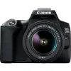 Canon EOS 250D + EF-S 18-55mm f/3.5-5.6 III SLR Camera Kit 24.1 MP CMOS 6000 x 4000 pixels Czarny