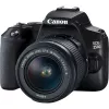 Canon EOS 250D + EF-S 18-55mm f/3.5-5.6 III SLR Camera Kit 24.1 MP CMOS 6000 x 4000 pixels Czarny