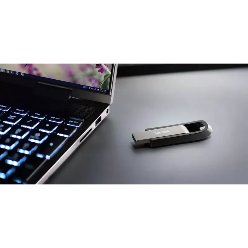 WESTERN DIGITAL SanDisk Ultra Extreme GO - 256 GB pamięć USB - USB 3.2