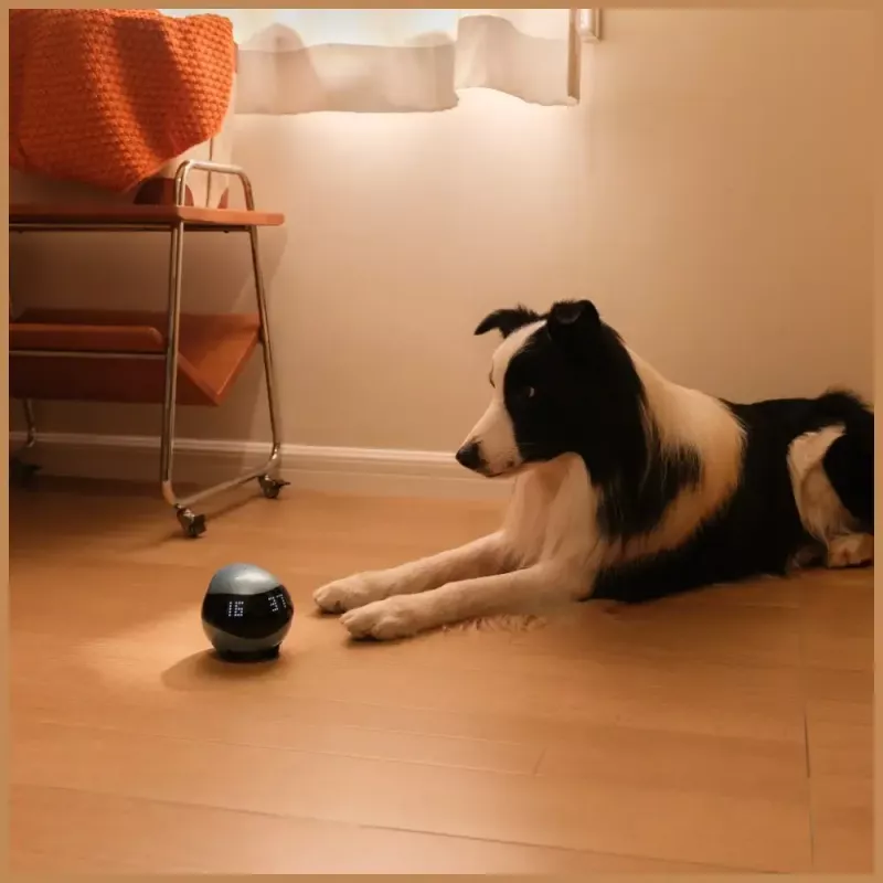 Robot monitorujący Enabot EBO AIR 2 — mobilna kamera domowa, różowa