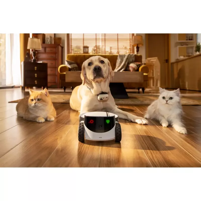 Kamera monitorująca Enabot Family Robot IP Camera ROLA PetPal WH287304