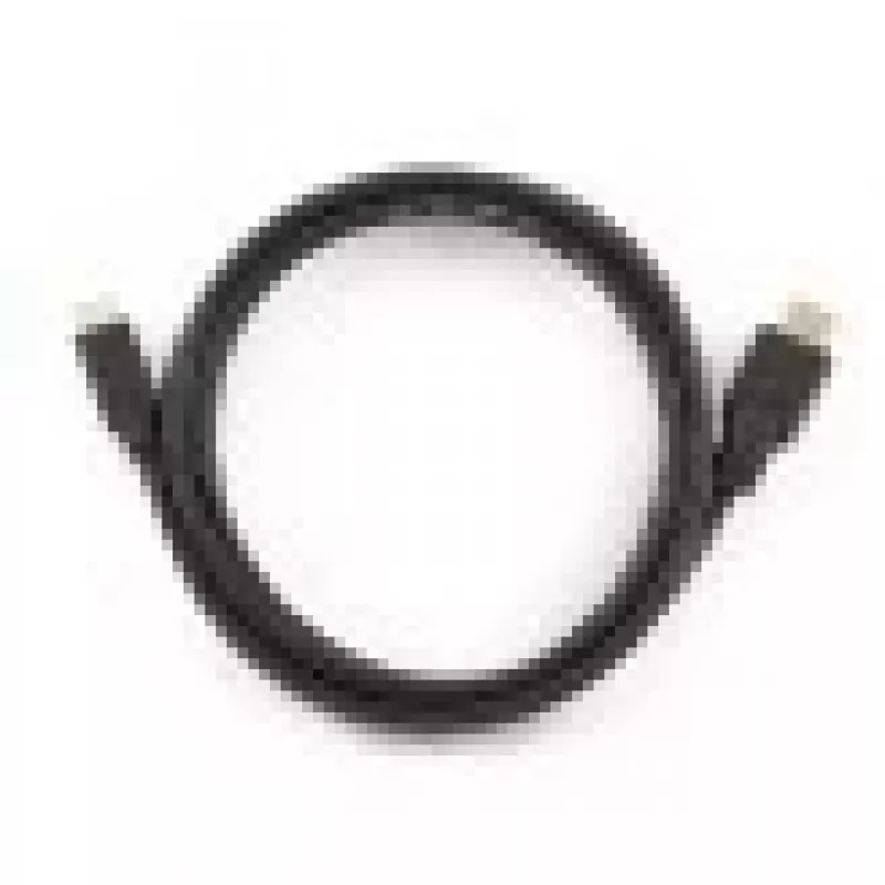 GEMBIRD HDMI kabel Typ A To Mini HDMI Type C - 2.0m
