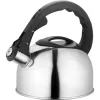 Lamart Lumier LT 7004 czajnik z gwizdkiem na kuchenkę, 2 l, stal nierdzewna, do indukcji i gazu, Inox
