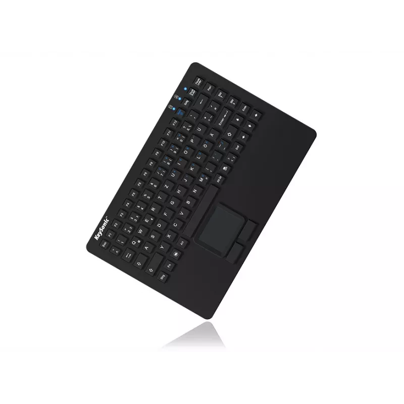 Klawiatura KeySonic KSK-5230 IN (US) biurowa USB QWERTY US angielska Czarna