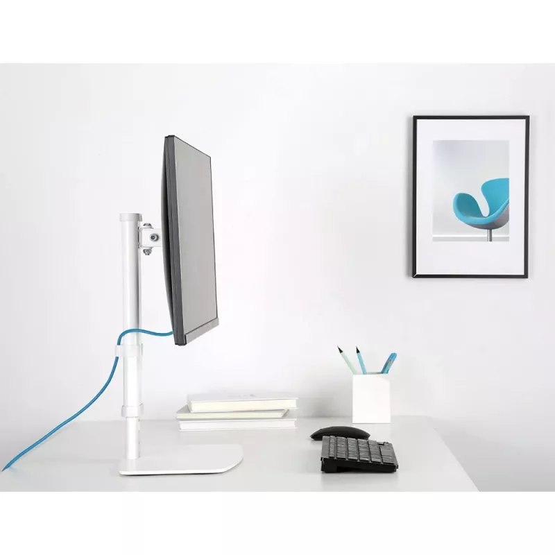 Uchwyt/stojak na monitor Techly ICA-LCD 260 68,6 cm (27 cali) Biurkowy Biały