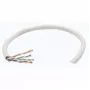 Intellinet sieciowy Bulk Cat6 kabel, 23 AWG, Solid Wire, 305m, szary, CCA, U/UTP, Box