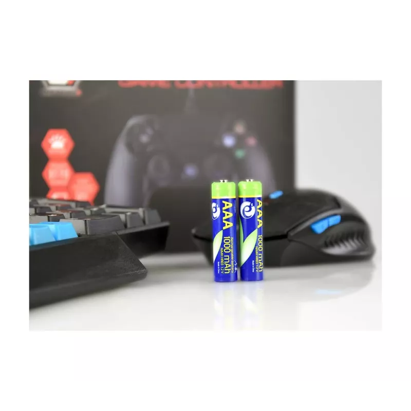 Baterie GEMBIRD AAA Ni-MH akumulatorowe 1000mAh 2 szt.