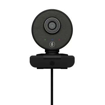 Kamera internetowa ICY BOX IB-CAM501-HD 1920 x 1080 pikseli USB 2.0 Czarny
