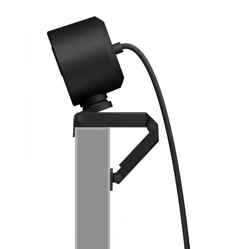 Kamera internetowa ICY BOX IB-CAM501-HD 1920 x 1080 pikseli USB 2.0 Czarny