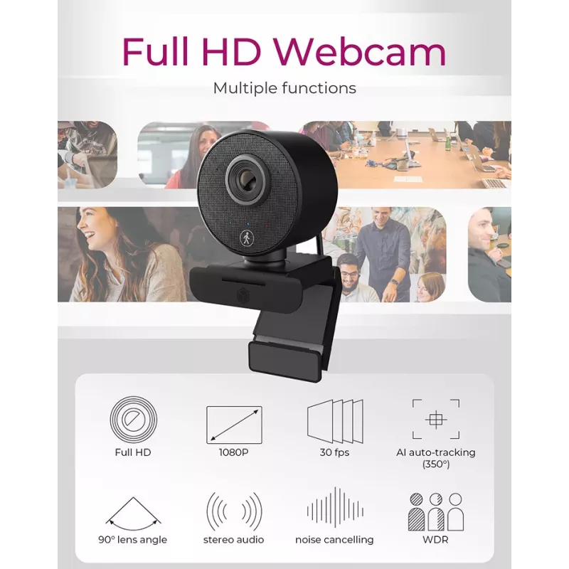 Kamera internetowa ICY BOX IB-CAM501-HD 1920 x 1080 pikseli USB 2.0 Czarny