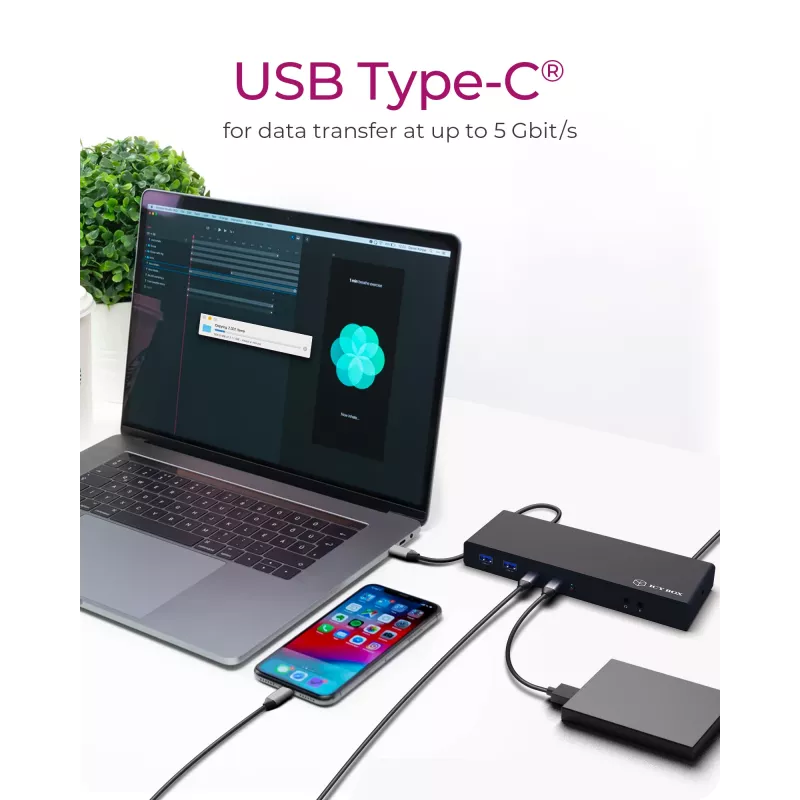ICY BOX IB-DK2245AC Przewodowy USB 3.2 Gen 1 (3.1 Gen 1) Type-C Czarny