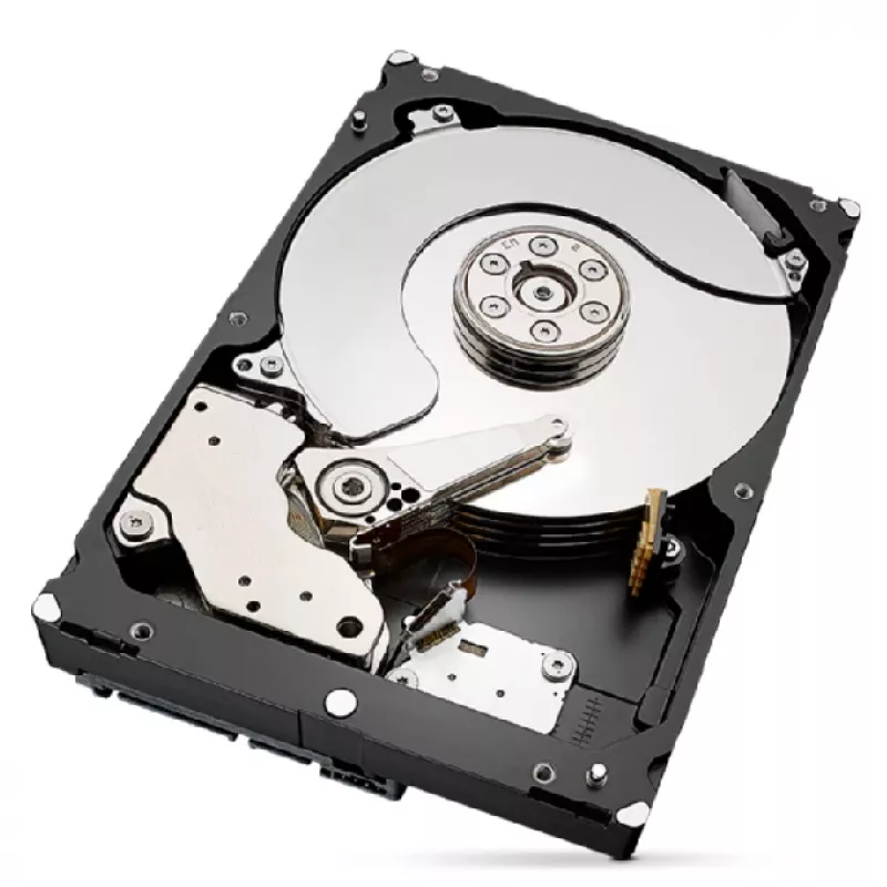 Seagate IronWolf Pro ST6000NT001 wewnętrzny dysk twardy 6 TB 7200 RPM 256 MB 3.5 cala