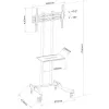 Techly ICA-TR23 szafka/stojak pod telewizor 1 półka