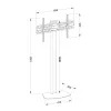 Uchwyt do telewizora wolnostojący TECHLY ICA-TR27 na ekrany 32–55 cali (81,3–139,7 cm), VESA 100x100–600x400, odchylanie -15–0°, maks. obciążenie 40 kg, czarny