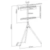 Stojak podłogowy do telewizora TECHLY ICA-TR18SAM na 45 cali–65 cali (114,3–165,1 cm), VESA 200x200–600x400, udźwig 32 kg, orzech