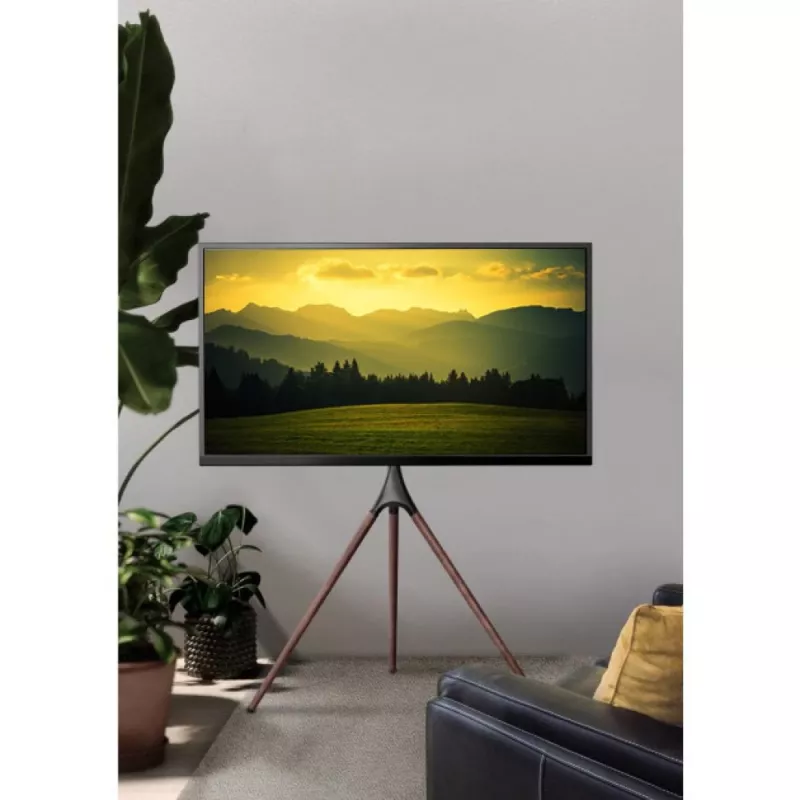 Stojak podłogowy do telewizora TECHLY ICA-TR18SAM na 45 cali–65 cali (114,3–165,1 cm), VESA 200x200–600x400, udźwig 32 kg, orzech