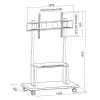 Przenośny stojak podłogowy TECHLY Signage Display Mount ICA-TR31 do ekranów 55–120 cali, VESA 1200x600, maks. obciążenie 150 kg, czarny
