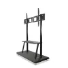 Przenośny stojak podłogowy TECHLY Signage Display Mount ICA-TR31 do ekranów 55–120 cali, VESA 1200x600, maks. obciążenie 150 kg, czarny