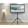 Uniwersalny statyw podłogowy Techly do telewizorów 17-60 cali