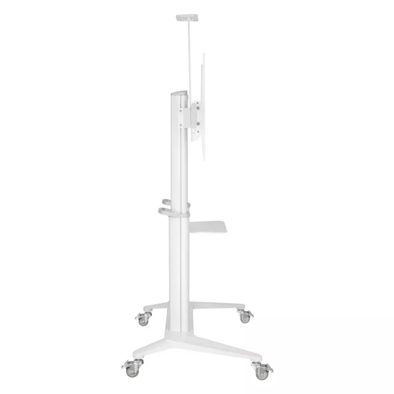 Wózek/stojak multimedialny Techly ICA-TR49W biały do płaskiego panelu