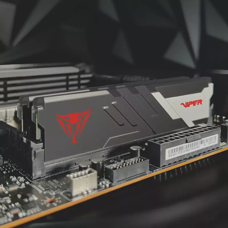 DIMM 32 GB DDR5-7200 (2x 16 GB) Dual-Kit, Arbeitsspeicher schwarz, PVV532G720C34K, Viper Venom, INTEL XMP