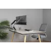 GEMBIRD Regulowane podwójne ramię do monitorów montowane na biurku, Space szary