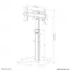 Neomounts FL45S-825BL1 stojak podłogowy pod telewizor 37-75 cali - TÜV, 70 kg, 94 cm (37 cali), 190,5 cm (75 cali), 100 x 100 mm, 600 x 400 mm, 1040 - 1570 mm