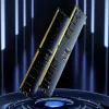 Pamięć LEXAR Desktop - 16GB DDR5 UDIMM 5600MT/s CL46 1.1V