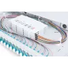 DIGITUS Fiber Optic Sliding Splice Box, 1U, Equipped 24x LC duplex, incl. M 25 Screw, Splice Cassette OM3 Color Pigtails, Adapter