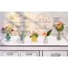 Miniverse - Make It Mini Botanicals, 8 lat, Wielokolorowy, Plastik